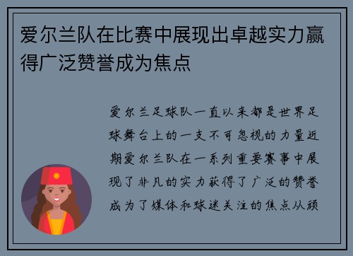 爱尔兰队在比赛中展现出卓越实力赢得广泛赞誉成为焦点